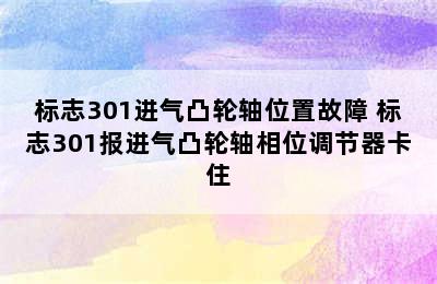 标志301进气凸轮轴位置故障 标志301报进气凸轮轴相位调节器卡住